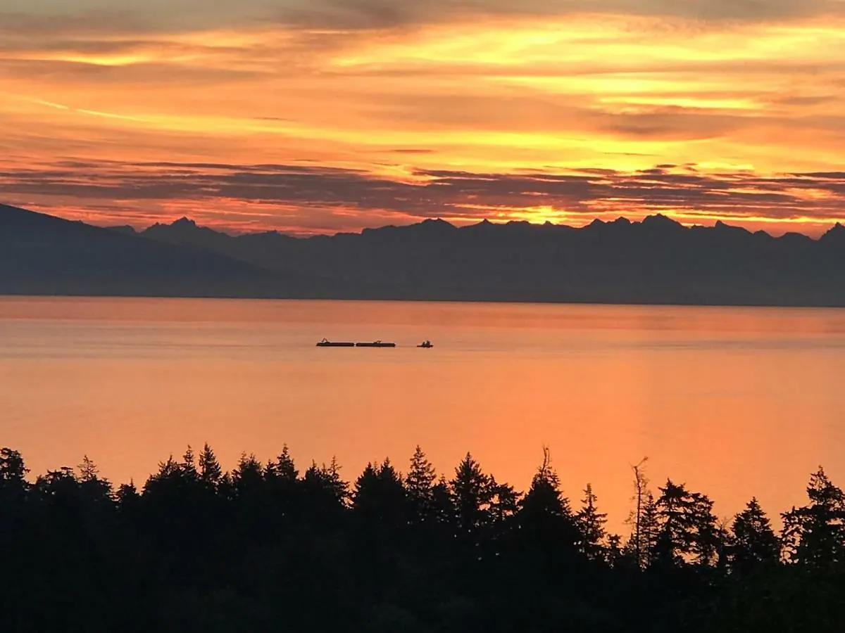 Ocean Melody Vacation Rooms Nanaimo Gasthuis